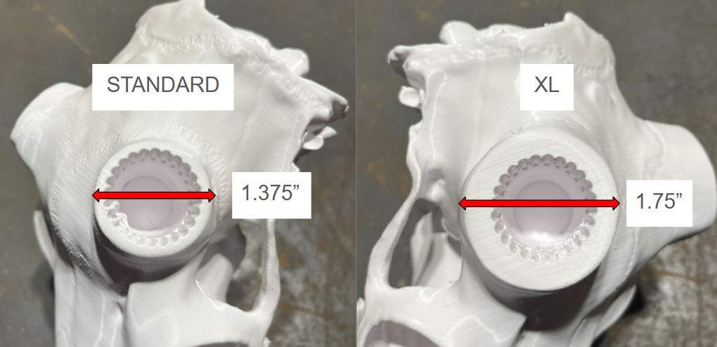 3D Printed European Deer Skull