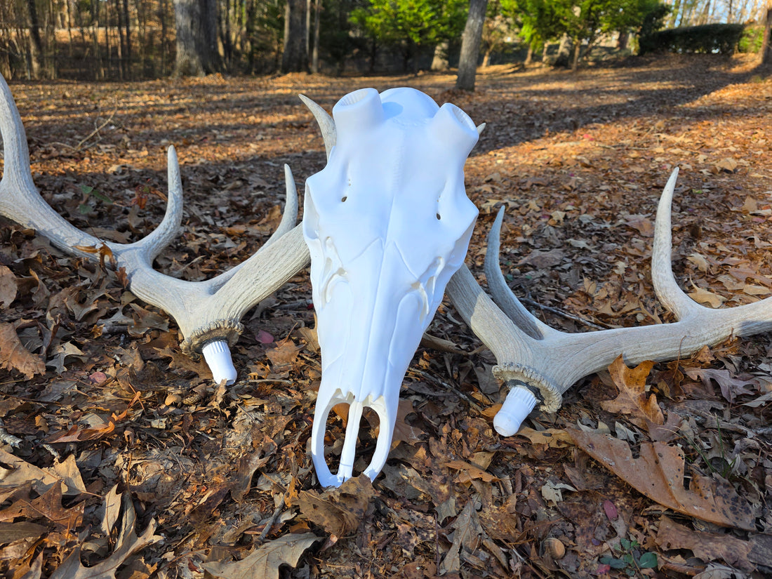 3D Printed European Elk Skull