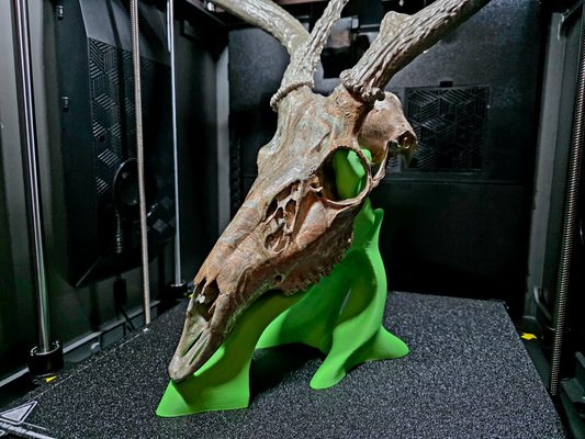 Desk Mount for 3D Printed European Skull