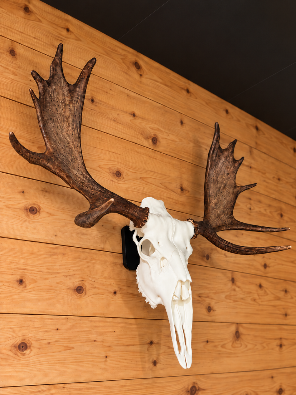 Moose Skull Wall Mount Bracket