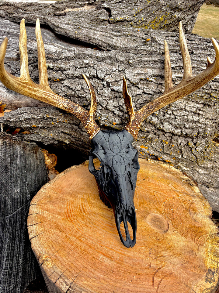 3D Printed European Deer Skull - Midnight Lightning Whitetail
