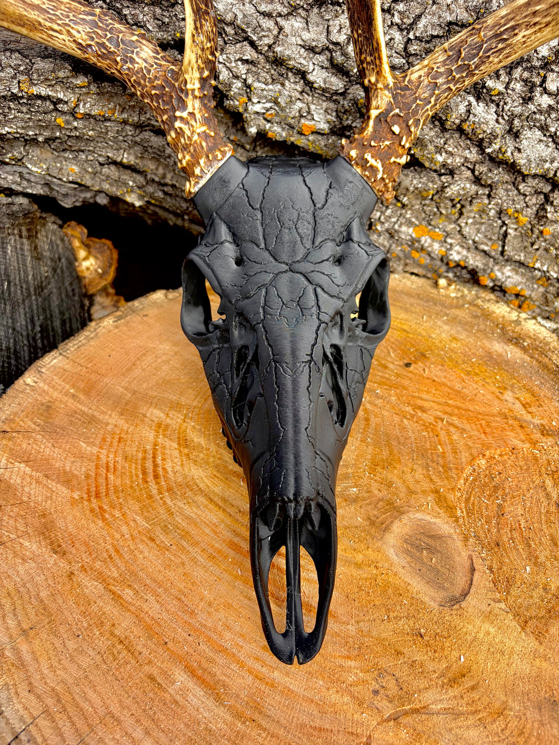 3D Printed European Deer Skull - Midnight Lightning Whitetail