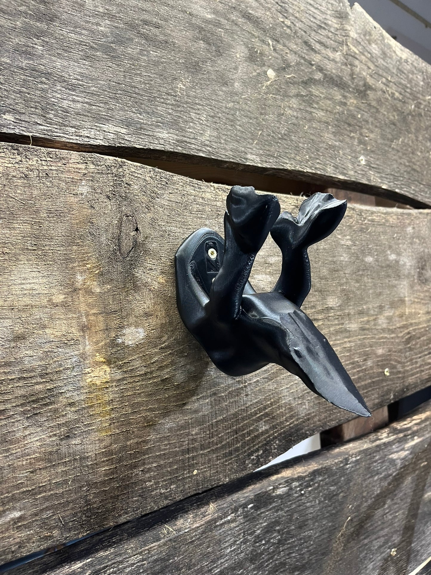 Wall Mount for 3D Printed European Skull