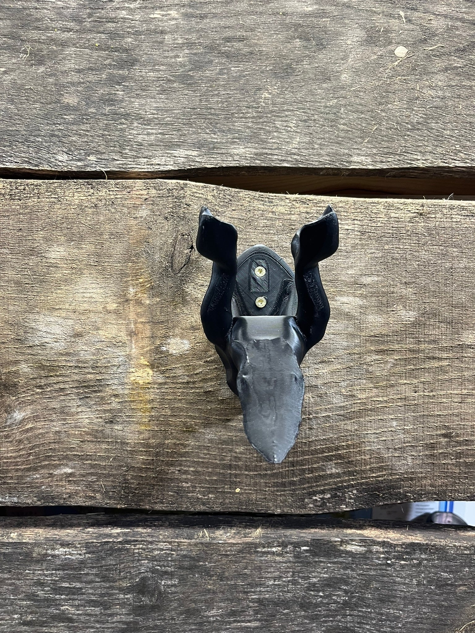 Wall Mount for 3D Printed European Skull