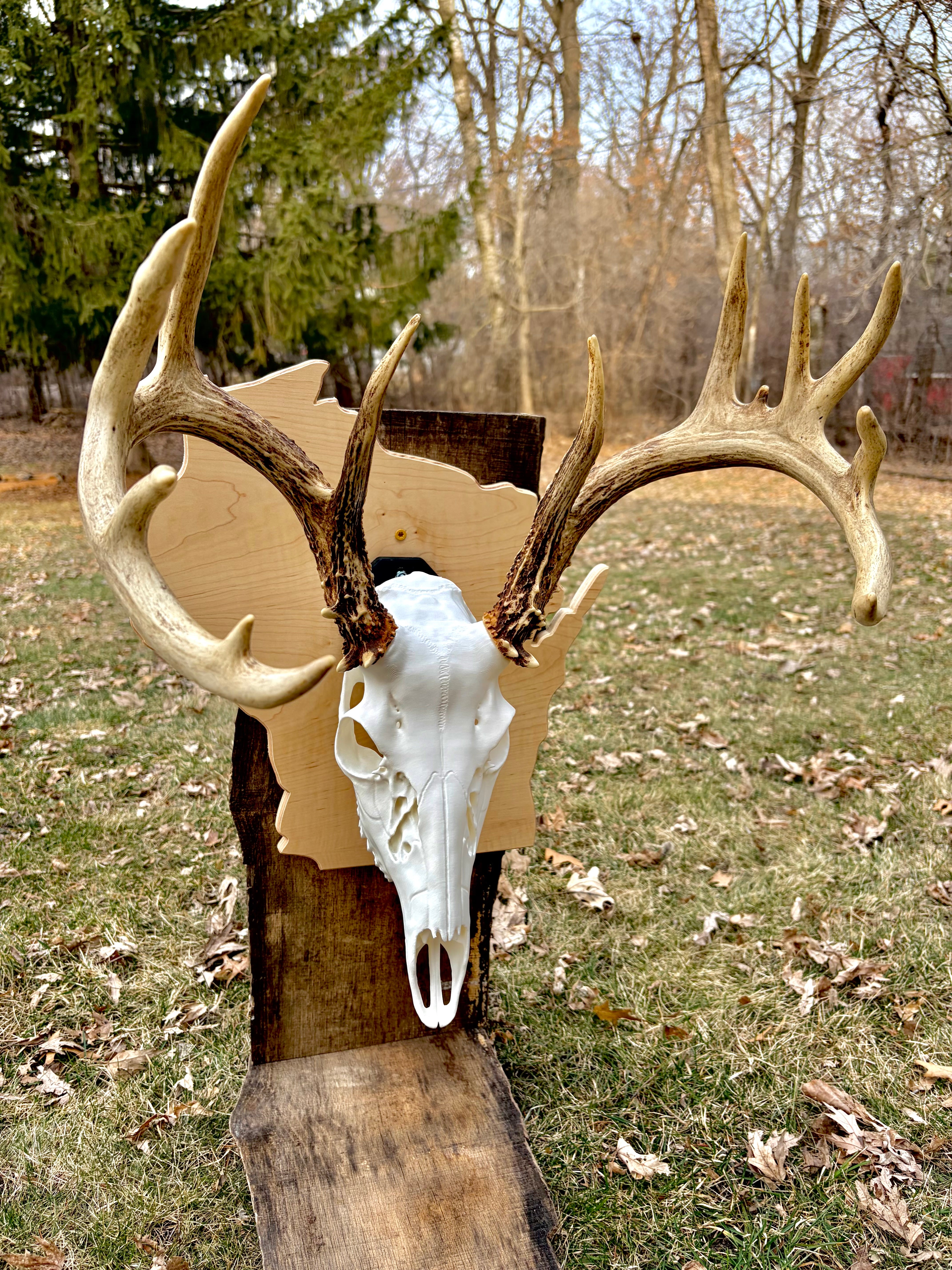 The Heritage Series: State-Outline Trophy Plaque