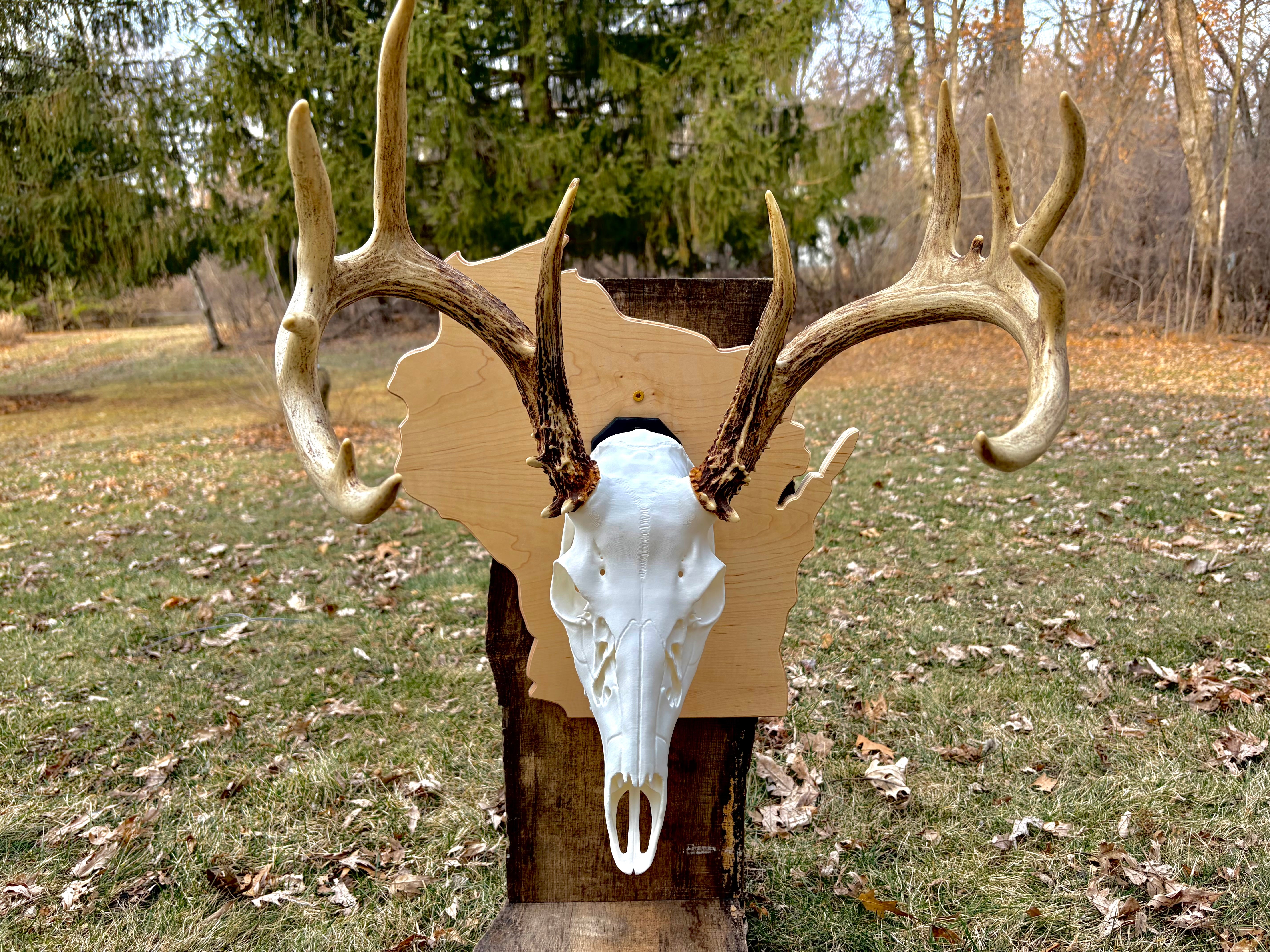 The Heritage Series: State-Outline Trophy Plaque