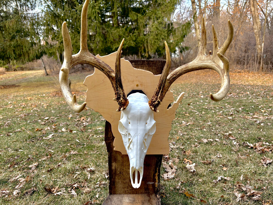 The Heritage Series: State-Outline Trophy Plaque