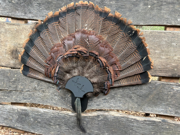 Turkey Fan Display - Turkey Tracks