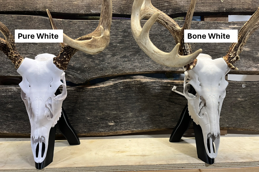 3D Printed European Deer Skull