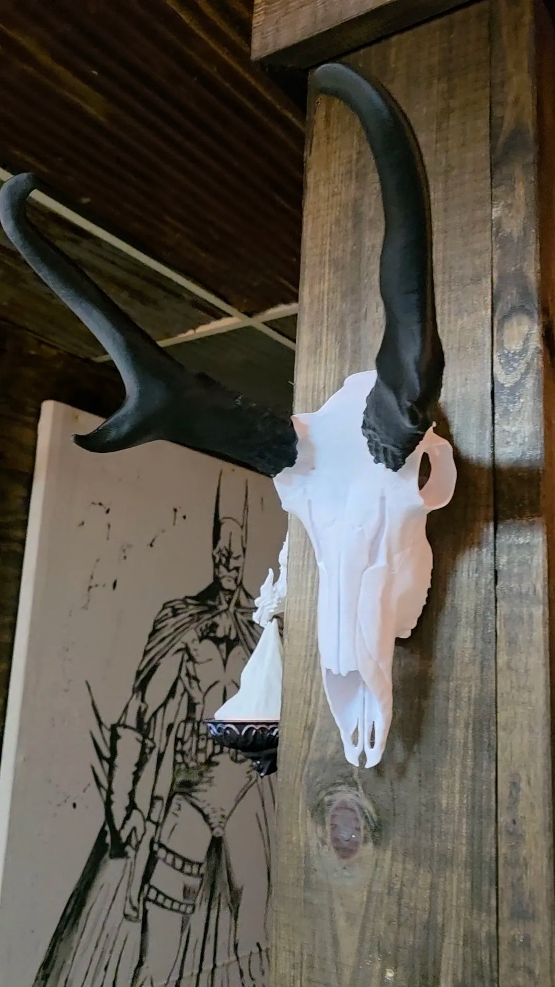 3D Printed European Skull - Pronghorn Antelope