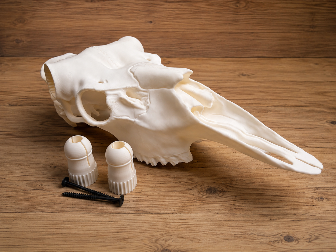 3D Printed European Moose Skull