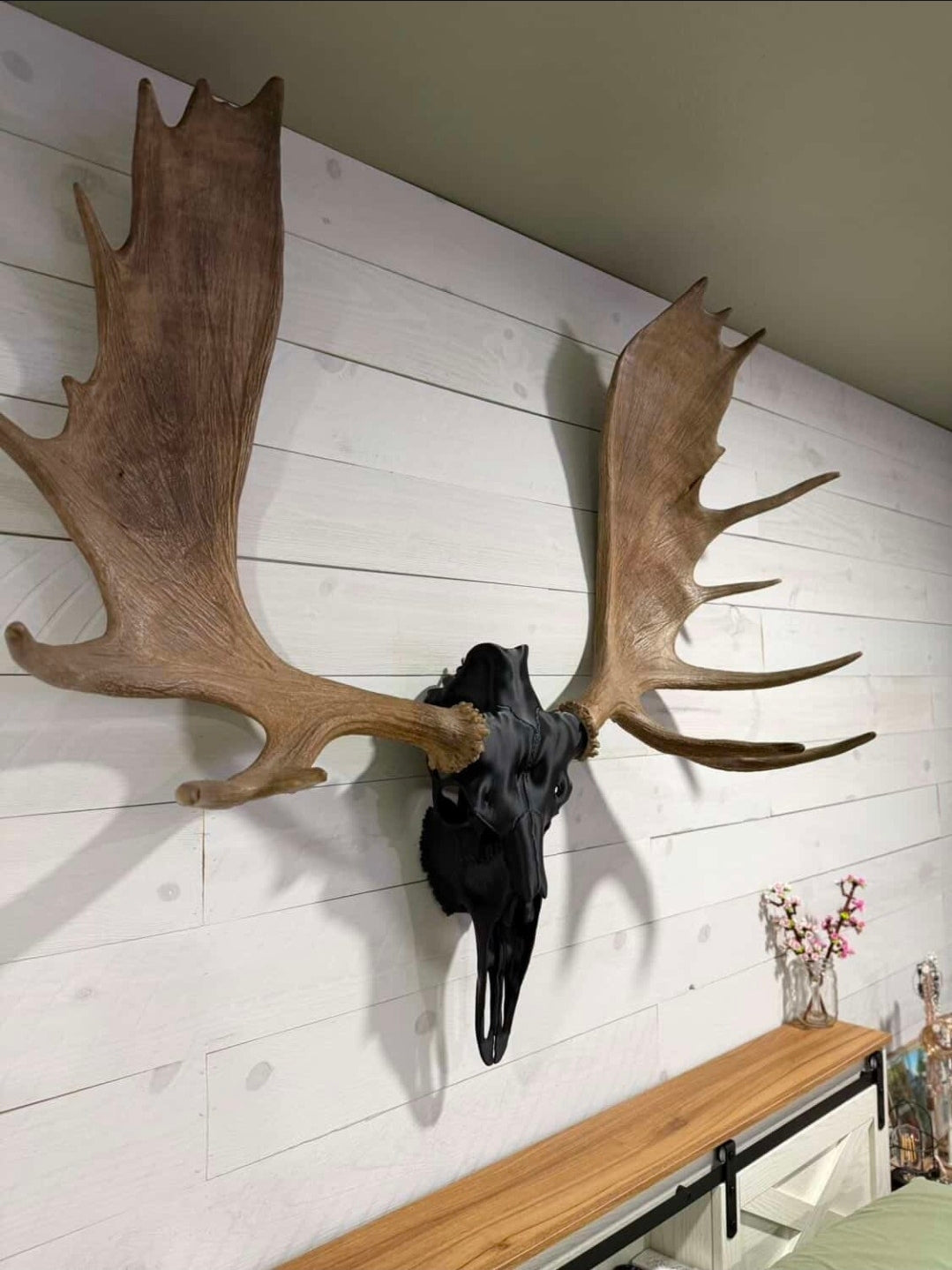 3D Printed European Moose Skull