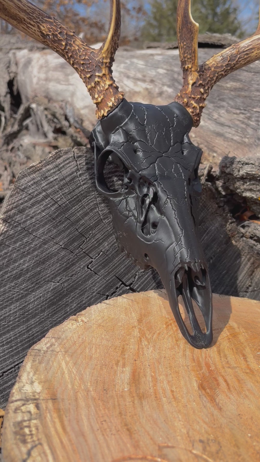 3D Printed European Deer Skull - Midnight Lightning Whitetail