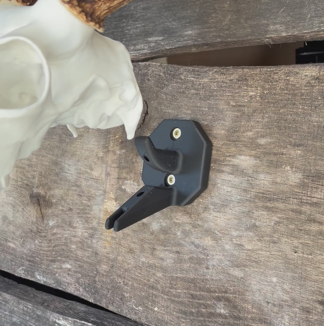 3D Printed European Deer Skull - Whitetail